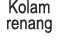 Kolam renang